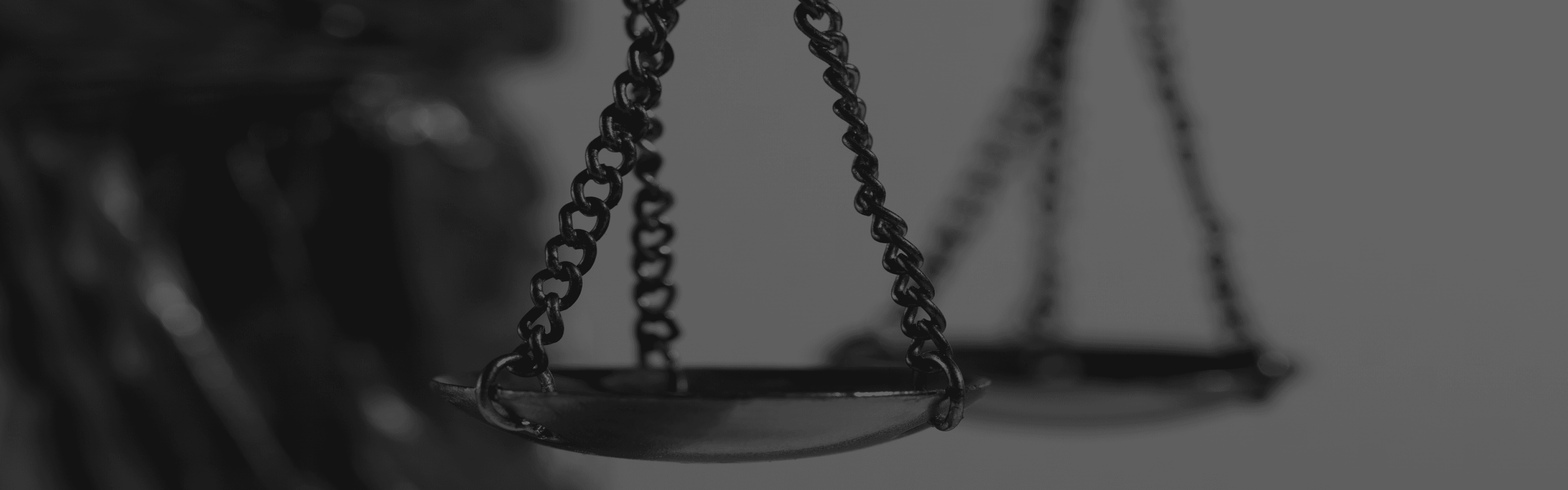 자가진단 헤더 배경